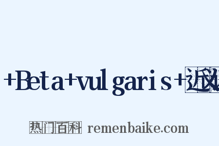 +Beta+vulgaris+近义词是什么意思的图片
